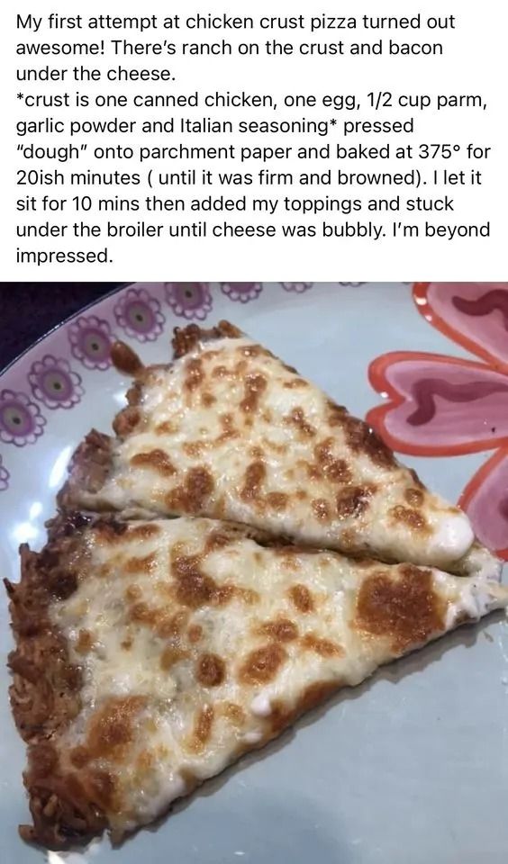 two slices of cheese pizza on a plate