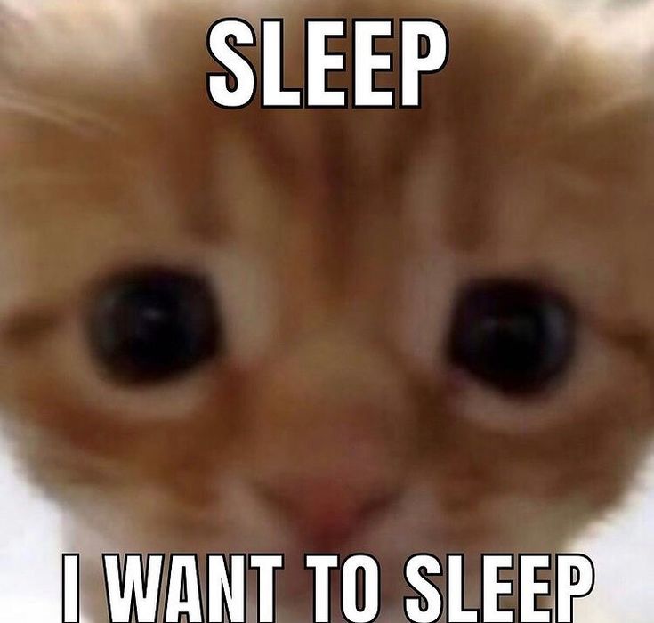 an orange cat with the caption i want to sleep