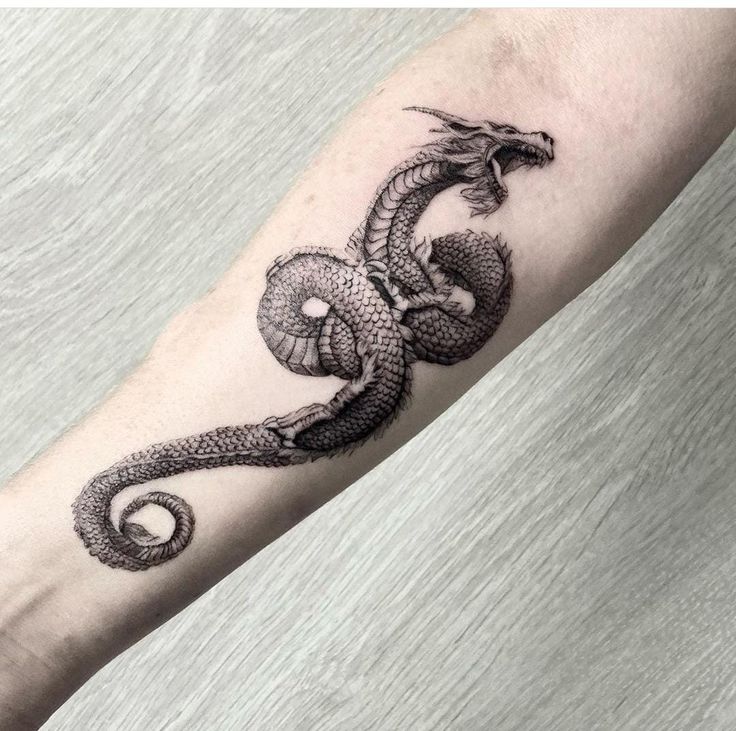 a black and white snake tattoo on the arm