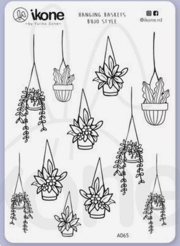 some hanging baskets with plants in them on a white background, and the words'blooming basket's bud style