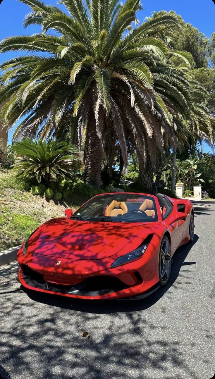 a red sports car parked on the side of a road next to a palm tree