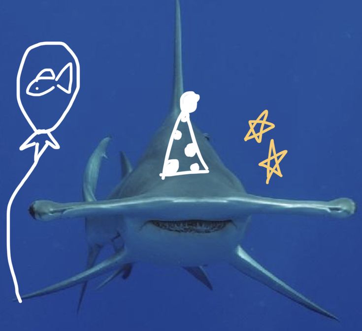 a shark with a party hat on it's head