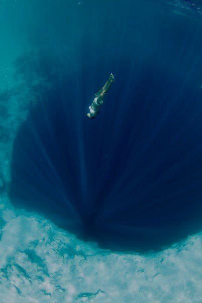 an image of a person swimming in the ocean