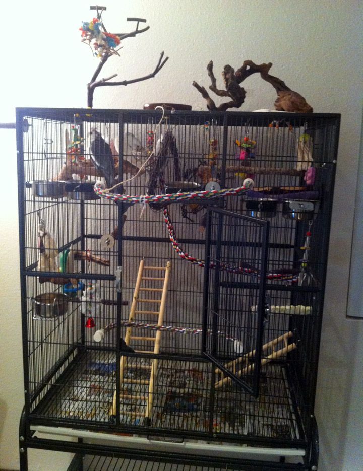 a bird cage filled with lots of toys