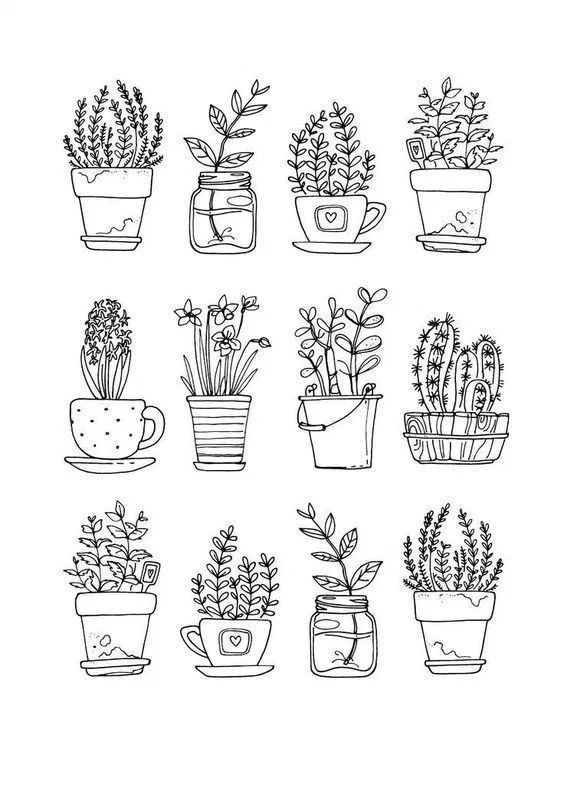 hand drawn potted plants on white background