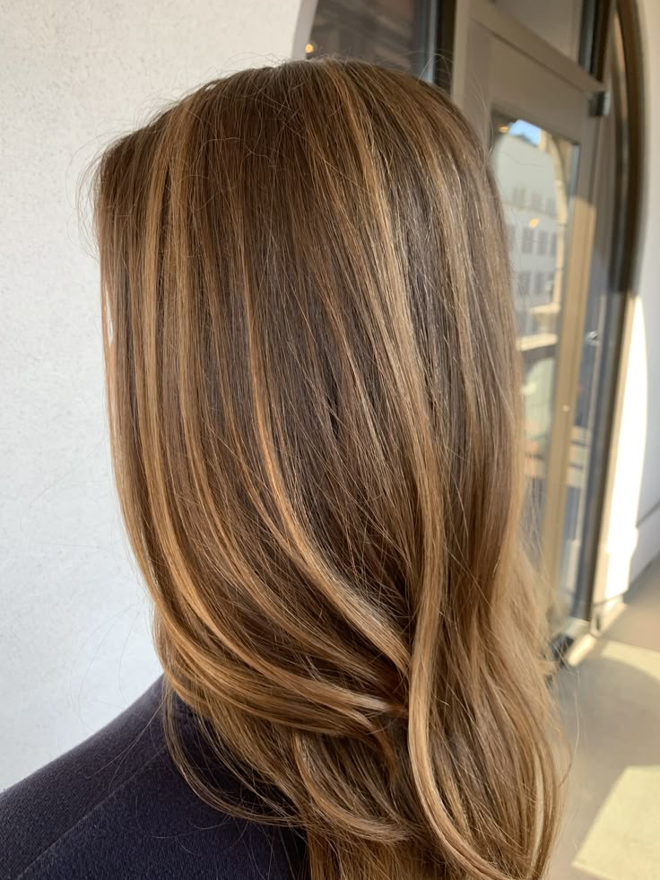 Caramel Brown Hair, Warm Brown Hair, Rambut Brunette, Honey Brown Hair, Brown Hair Inspo, Brunette Hair With Highlights, Brown Hair With Blonde Highlights, Caramel Hair, Caramel Highlights