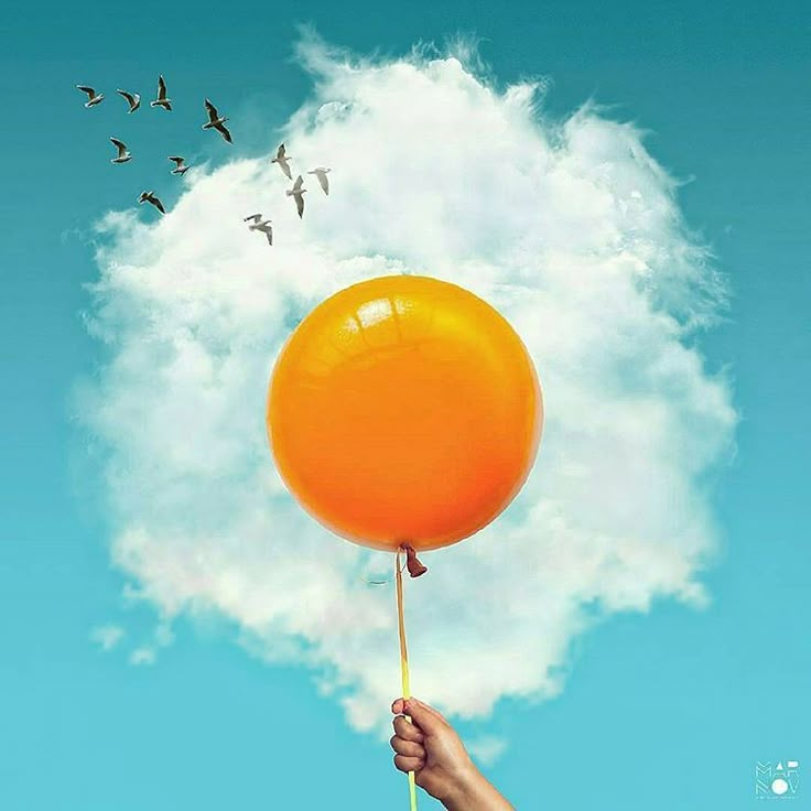 a person holding an orange balloon in the air with birds flying around it and clouds behind them