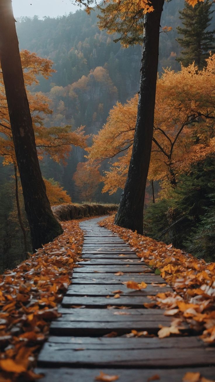 a wooden walkway surrounded by trees with leaves on the ground and in front of them