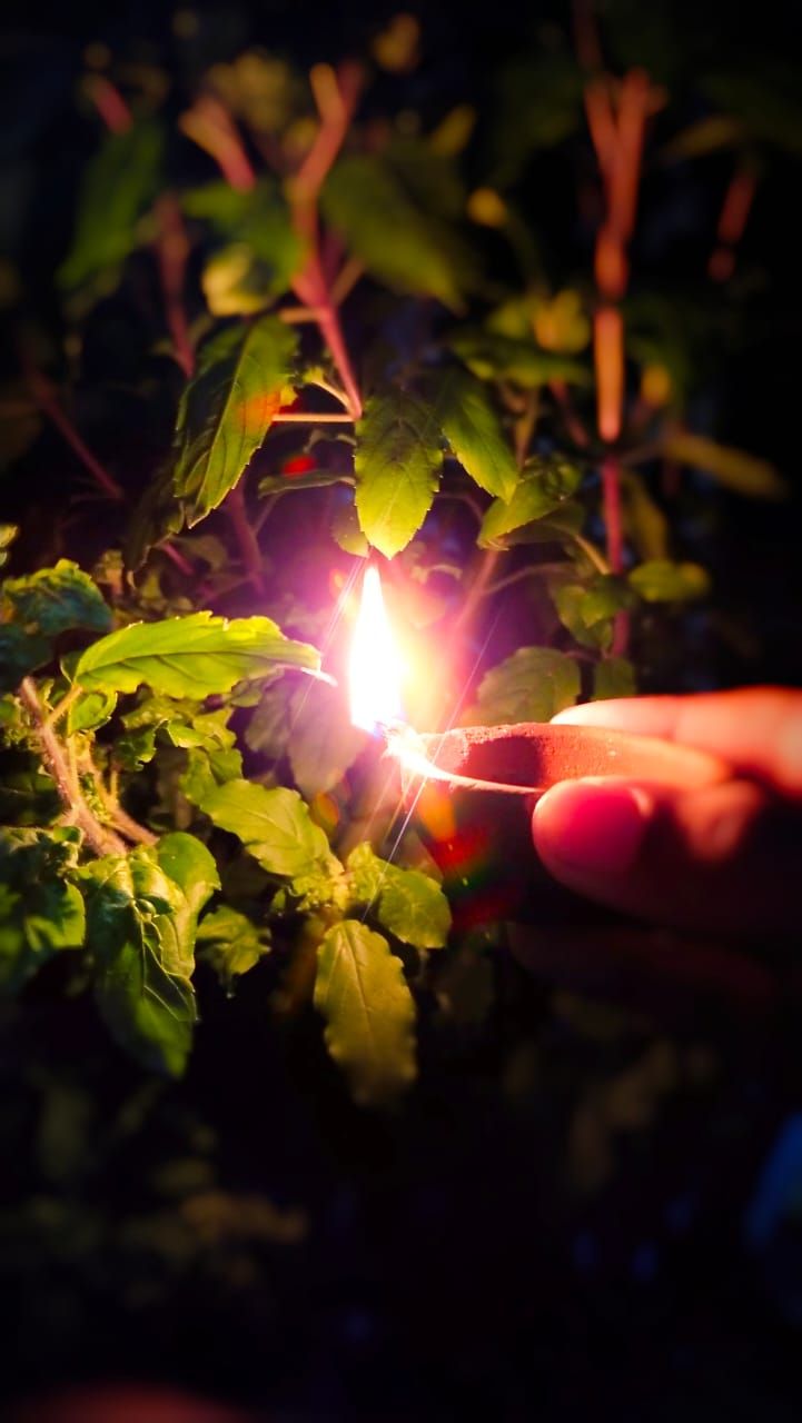 a person holding a small lit candle in their left hand, surrounded by green leaves