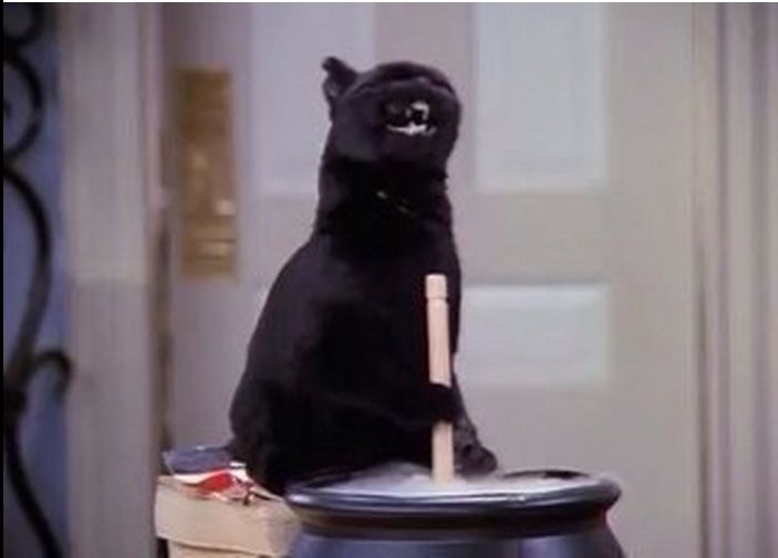 a black cat sitting on top of a trash can with a wooden stick in it's mouth