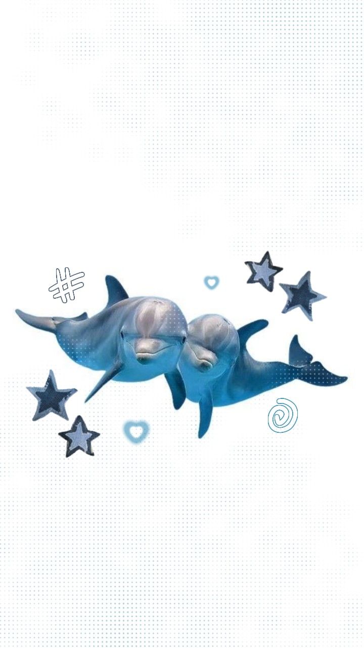 two dolphins swimming in the ocean surrounded by stars