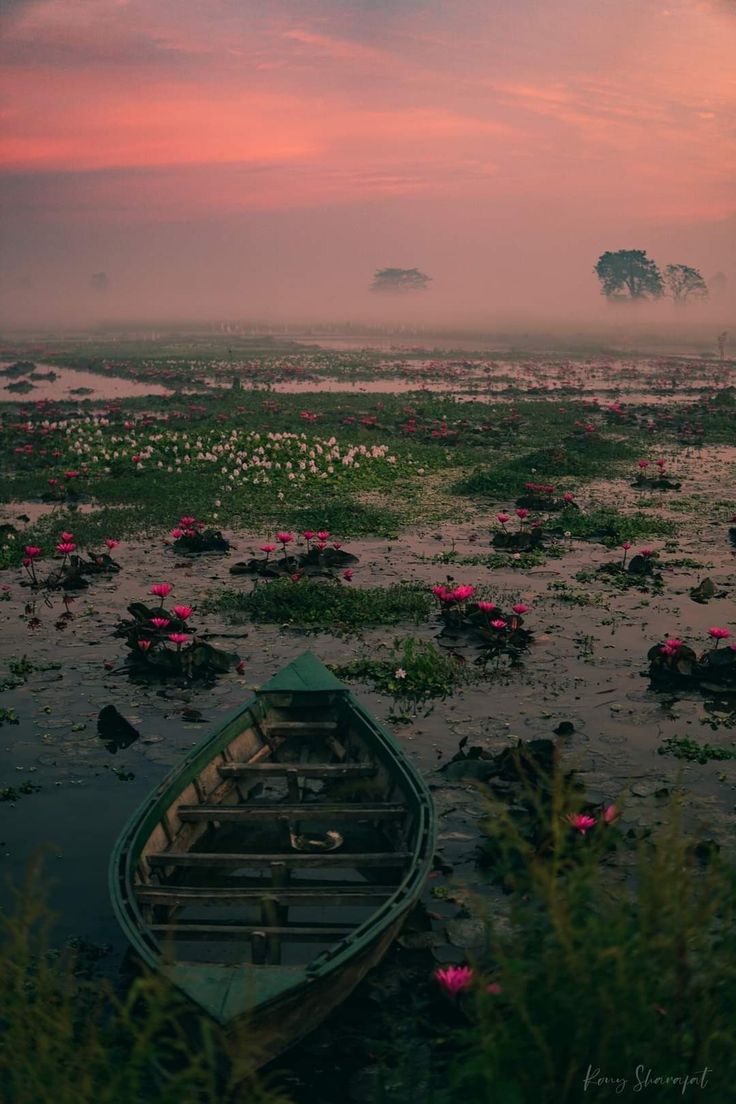 a boat sitting on top of a river filled with water lillies under a pink sky