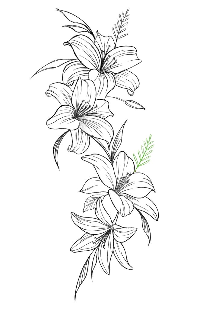 a black and white drawing of flowers on a white background