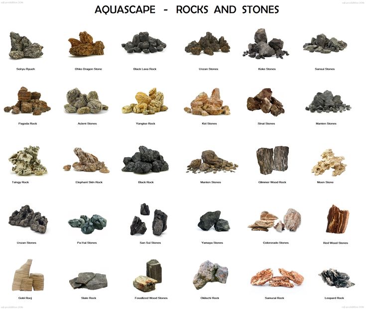 an image of rocks and stones on a white background with the words aquascape rocks and stones