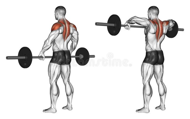 an image of a man doing exercises with barbells in the back and chest