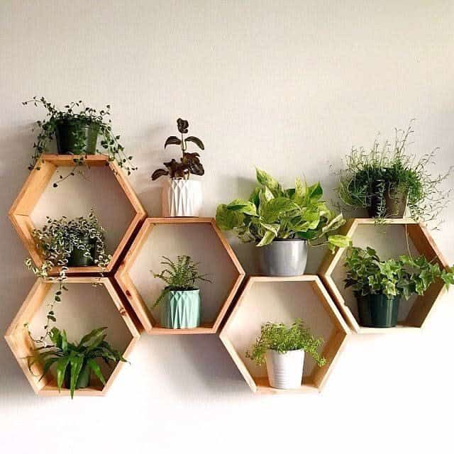 several hexagonal shelves with plants in them on a white wall behind the planters