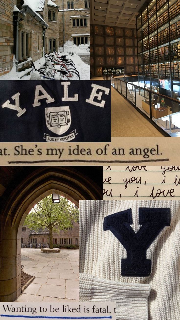 Yale university aesthetic Rory Gilmore girls wallpaper for phones Yale Aesthetic Wallpaper Laptop, Rory Yale Aesthetic, Yale Wallpaper Iphone, Harvard And Yale, Yale Merch Aesthetic, Yale Business School, Yale Law Aesthetic, Rory Gilmore Yale Aesthetic, Yale Vision Board