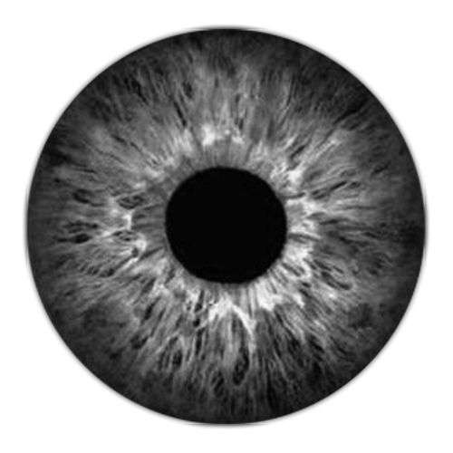 an eyeball is shown in black and white, with the iris partially closed to reveal a dark circle