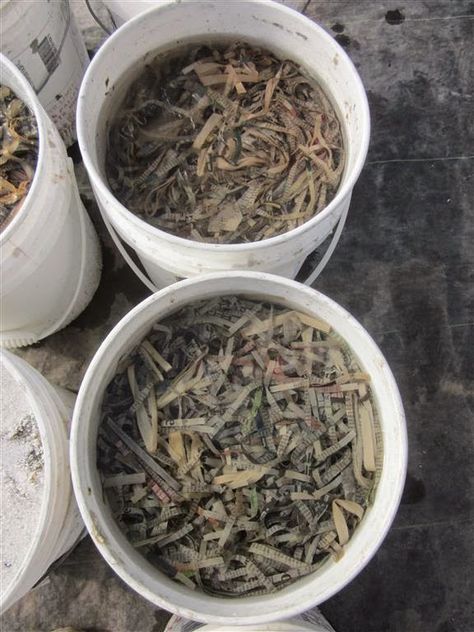 three buckets filled with different types of wood shavings on top of cement