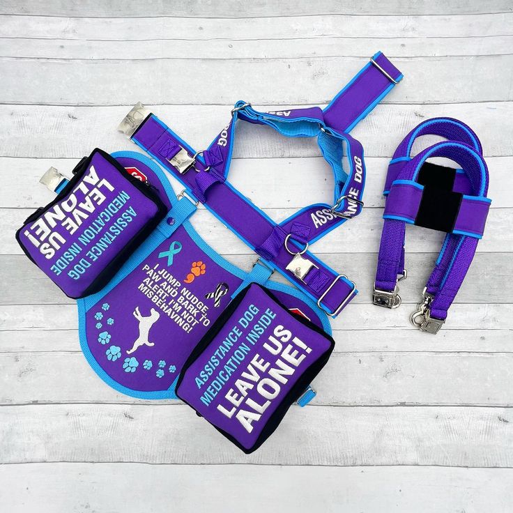 purple harness and leash laying on top of white wooden planks with text reading animal planet