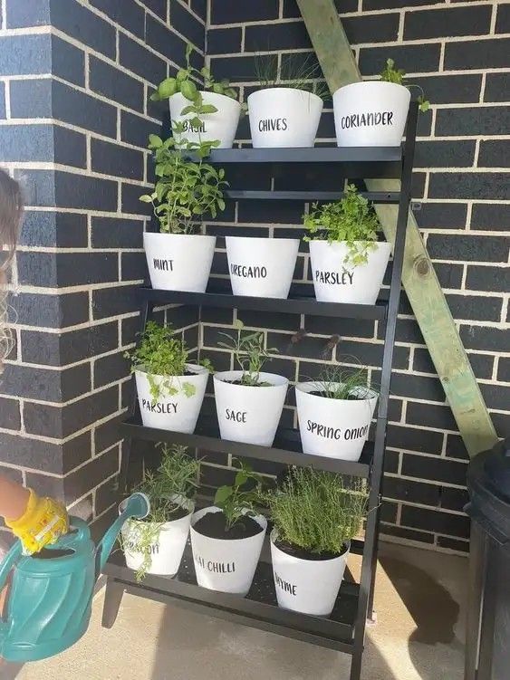 there are many plants that are growing in the pots on this shelve rack