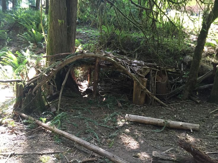 an arch made out of branches and logs in the middle of a forest with lots of trees