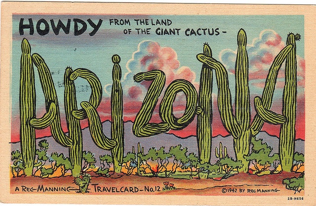 a postcard from the land of the giant cactus, with words written in it