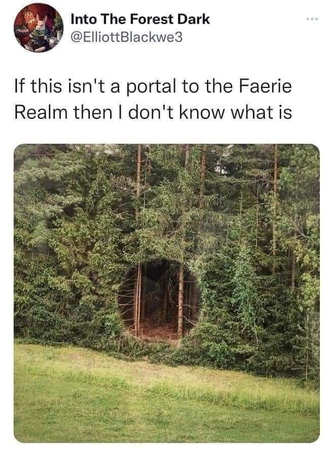 an image of a forest with trees in the background and text that reads, if this isn't portal to the faerie real then i don't know what it is