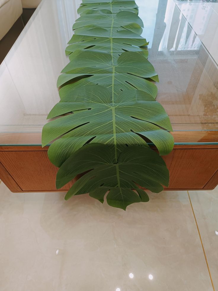 a large green leaf sitting on top of a glass table