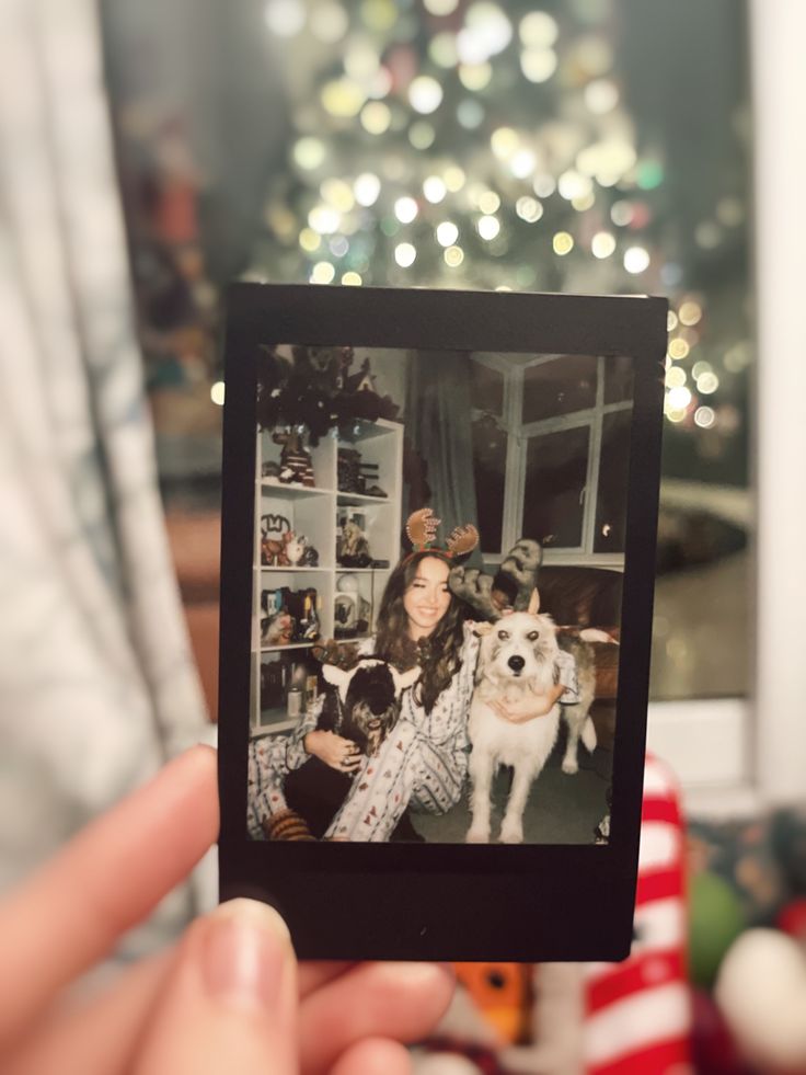 a person holding up a polaroid with two dogs in front of a christmas tree