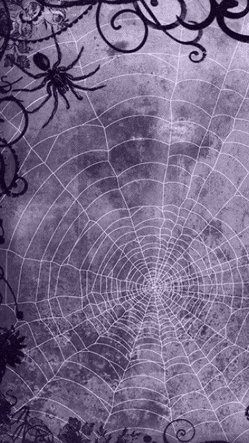 a spider web in the middle of an image with black and white swirls on it