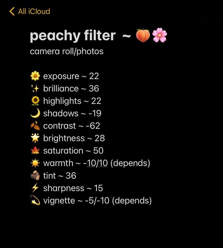 an image of a screen shot of a camera with the words peachy filter on it