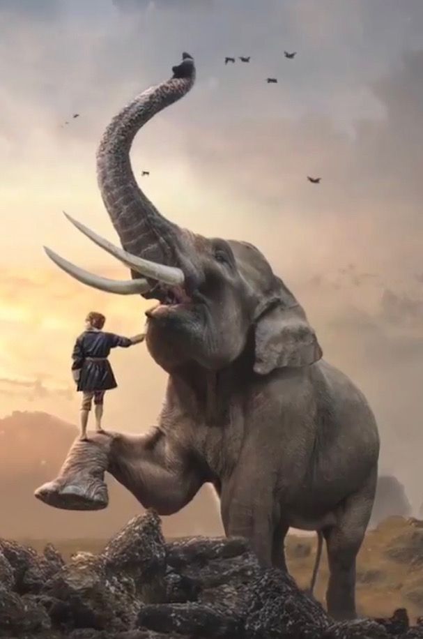 a man standing on top of an elephant with long tusks