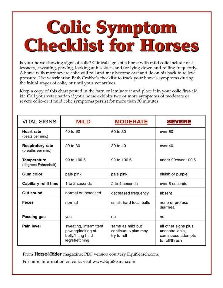 a flyer for a horse show with information about the horses and their names on it