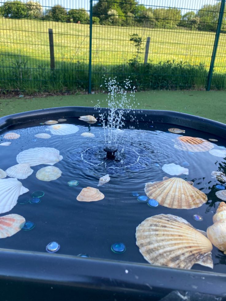 there are many shells in the water and one is sprinkling with water from it