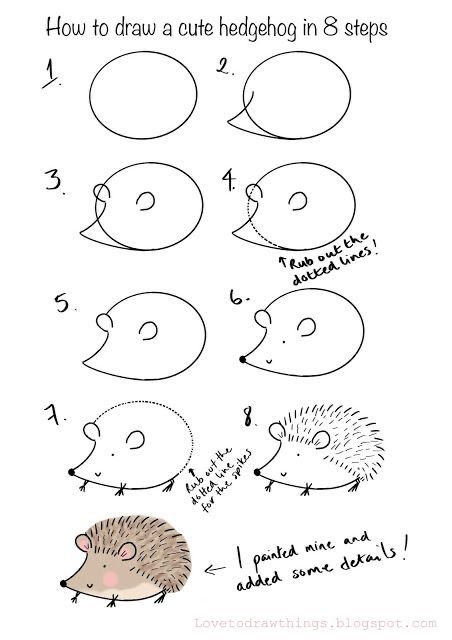 how to draw a hedgehog in 8 steps step by step instructions for children and adults