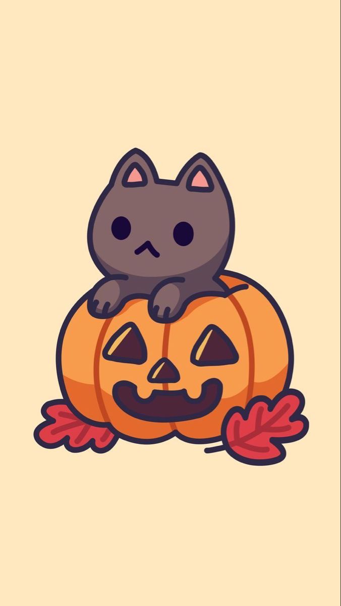 a cat sitting on top of a pumpkin