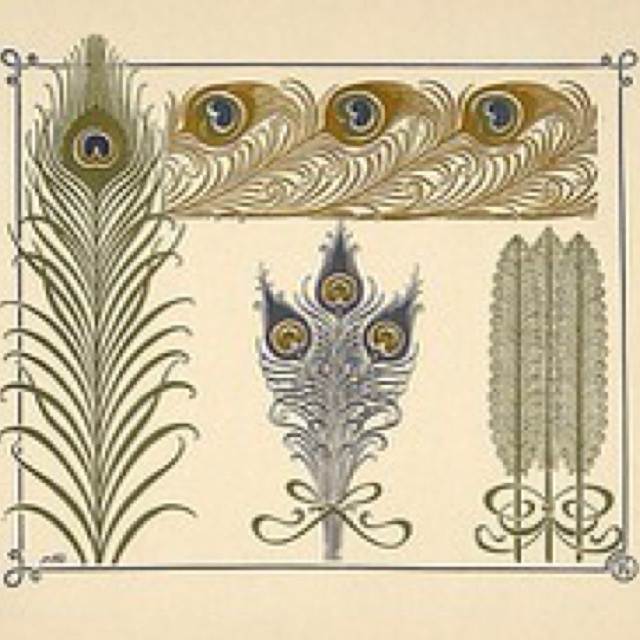 four peacocks are shown in different colors and patterns on white paper, each with an intricate design