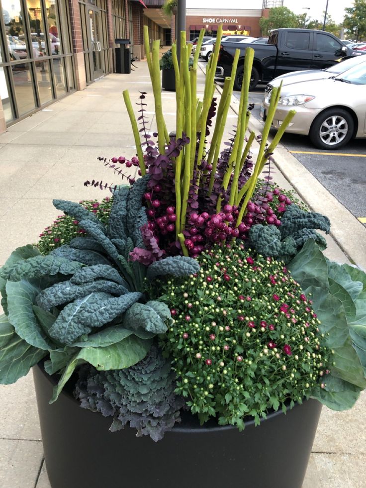 a large planter filled with lots of green and purple flowers on the side of a street