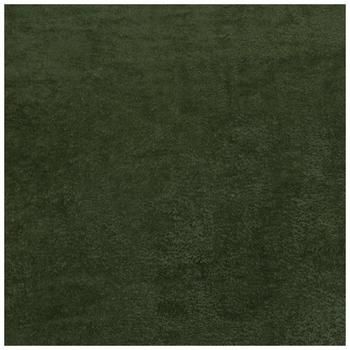 a dark green rug with white border