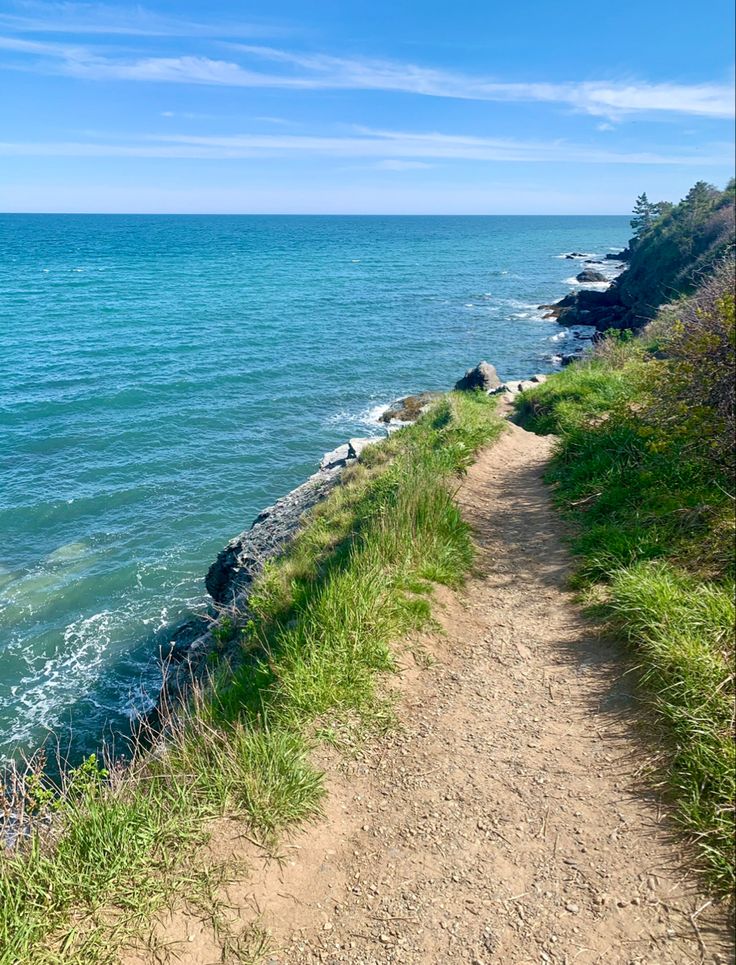 a dirt path leading to the ocean on a sunny day