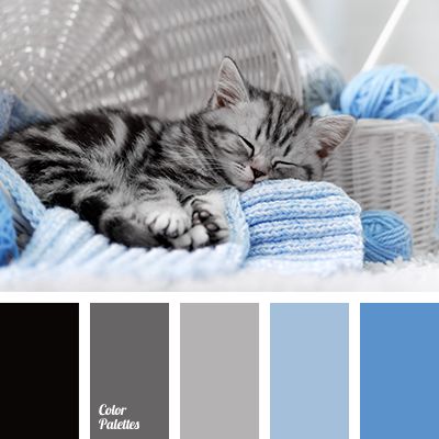 a cat sleeping on top of a blue blanket next to a ball of yarn and knitting needles