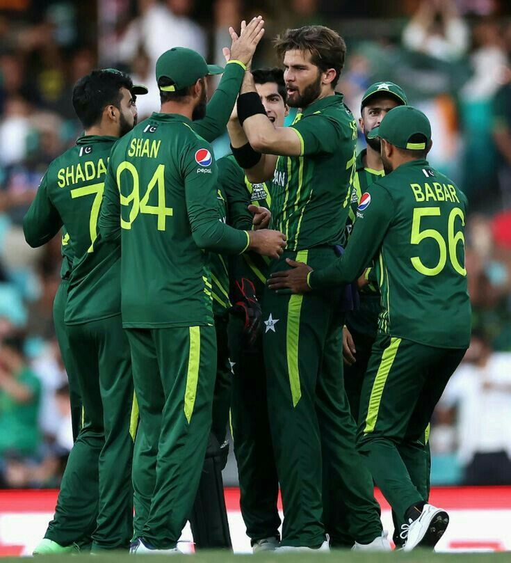 the pakistan cricket team is congratulating each other after their win in the t20 world cup