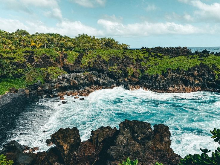 an ocean view with rocks and green plants on the shore, surrounded by blue water