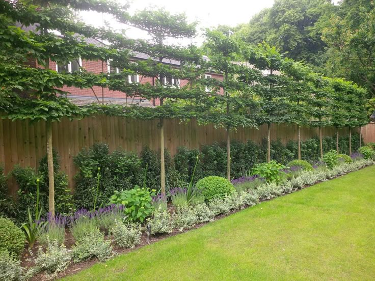 a long row of trees in the middle of a garden with purple flowers and green grass