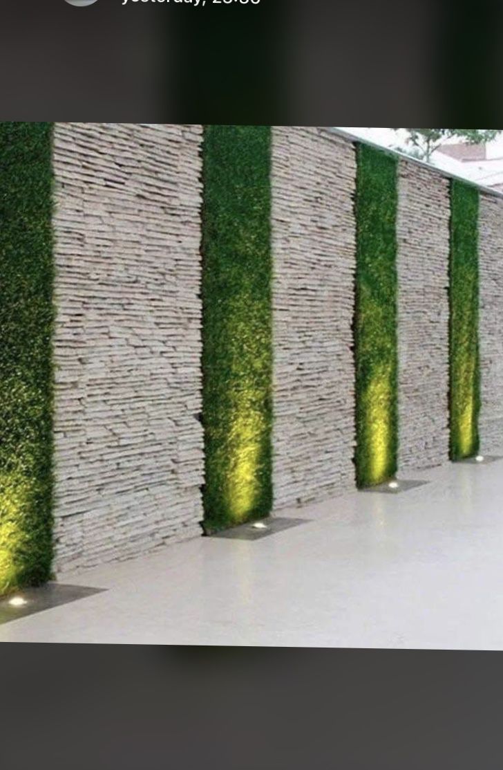 an outdoor wall with grass growing on it and lights in the corner next to it