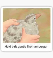 a person holding a bird in their hand with the caption hold bird gentle like hamburger