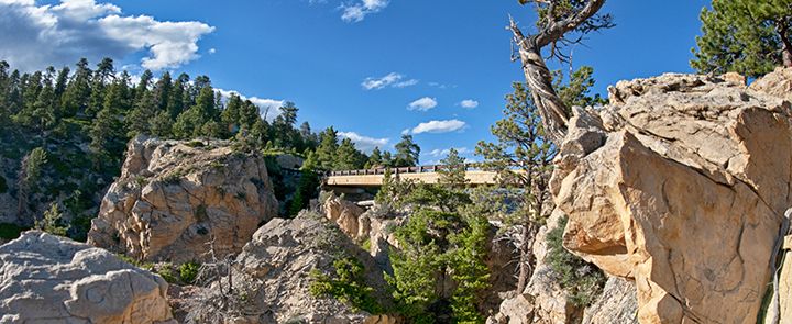 there is a bridge that goes over the rocks in the mountain side with trees on each side