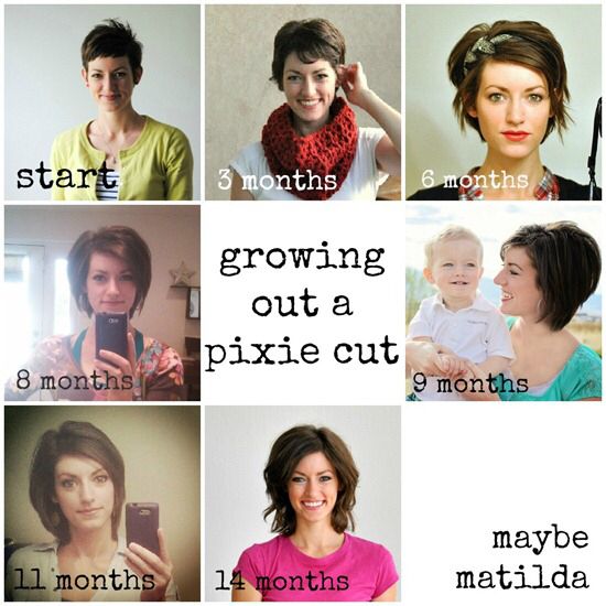 Growing out a pixie Growing Out A Pixie Cut, Growing Out Pixie Cut, Hair Growth Stages, Growing Out My Hair, Growing Out Pixie, Growing Out A Pixie, Bob Pixie Cut, Grown Out Pixie, Growing Out Hair