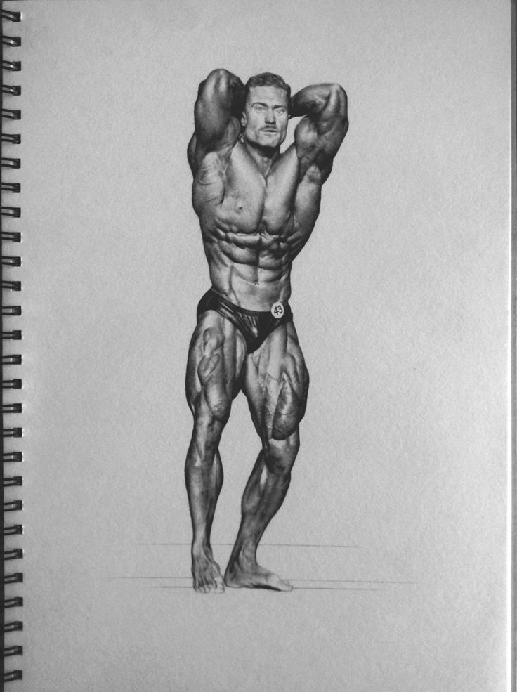 a pencil drawing of a man with muscles